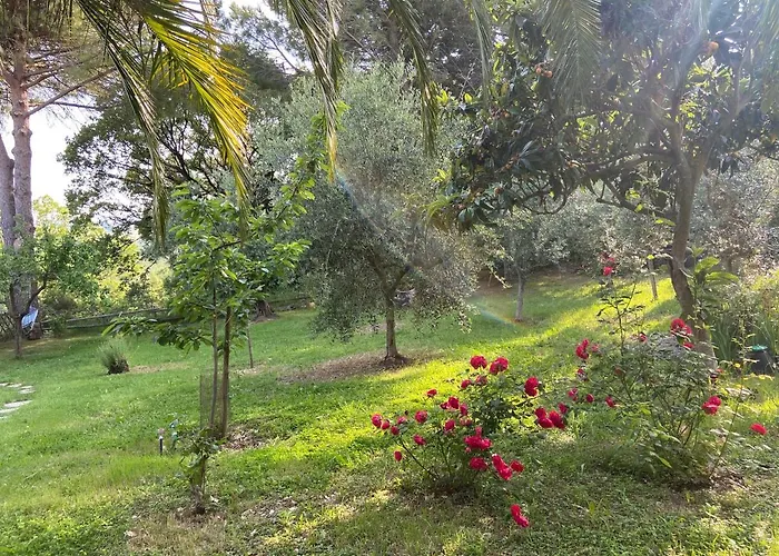 Antonella Castellina Marittima
