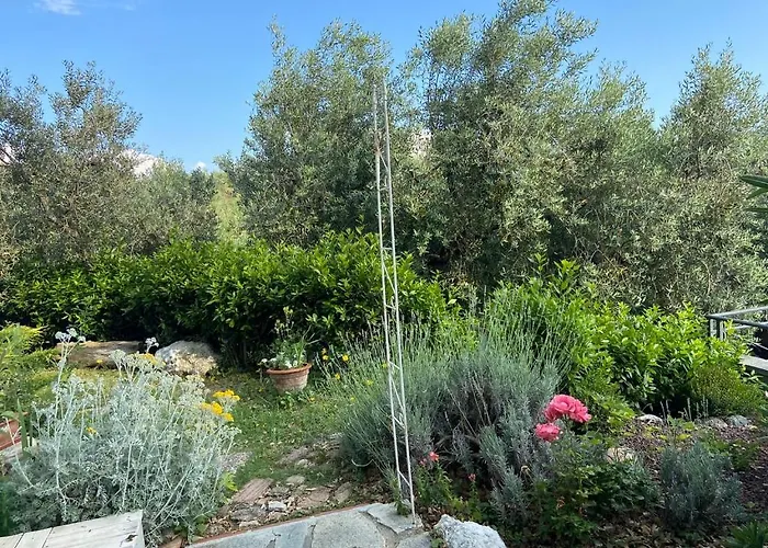 Antonella Villa Castellina Marittima