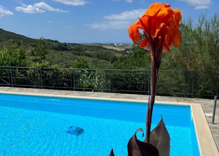 Antonella