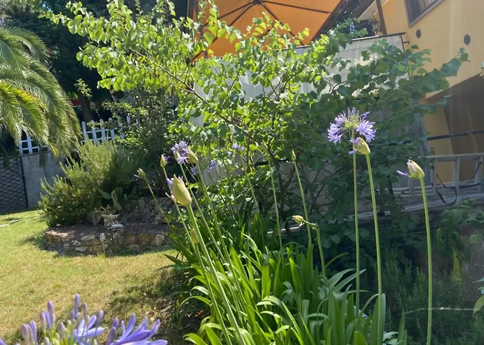 Antonella Castellina Marittima